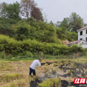 攸县丫江桥镇:强化巡查宣传,筑牢禁烧底线