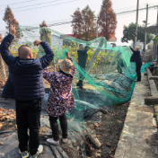 攸县深入开展“以网换网”护鸟惠民行动