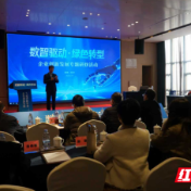 株洲电信搭平台促企业数智绿能转型突破