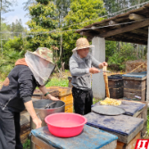 攸县：追花10万公里 这对夫妻酿出甜蜜事业