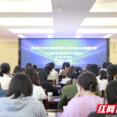 株洲市三医院举办心理教师心理技能提升培训班