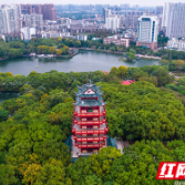 株洲市二医院举行2025年度手卫生比赛