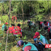 荷塘区宋家桥街道：“志愿红”播撒“田野绿” 校地共建绘就新图景