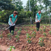 荷塘区明照街道：“撂荒地”变“爱心菜园” 志愿者携手种下“增收希望”