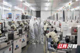 红观株洲丨株洲中小企业数字化转型：从试点破局到生态重构的进阶之路