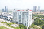 株洲拟搭建数字化中非经贸平台
