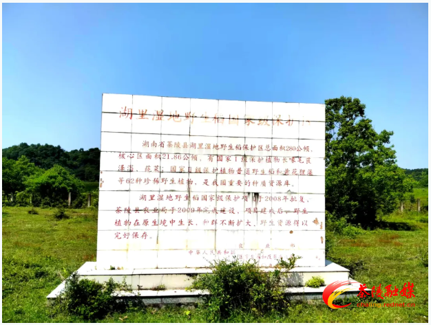 微信图片_20250721145244.png