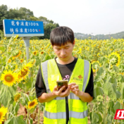 株洲联通全力守护网红打卡点网络畅通