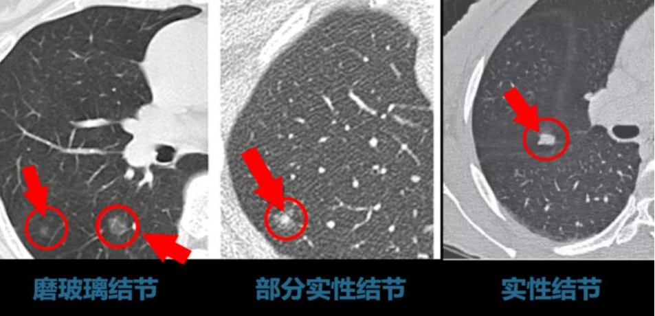 微信图片_2025-07-30_150807_695.png