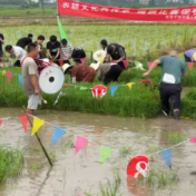 攸县宁家坪镇：插秧赛场展英姿 文体兴农正当时