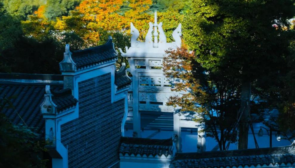 微信图片_2025-08-11_104107_487.png