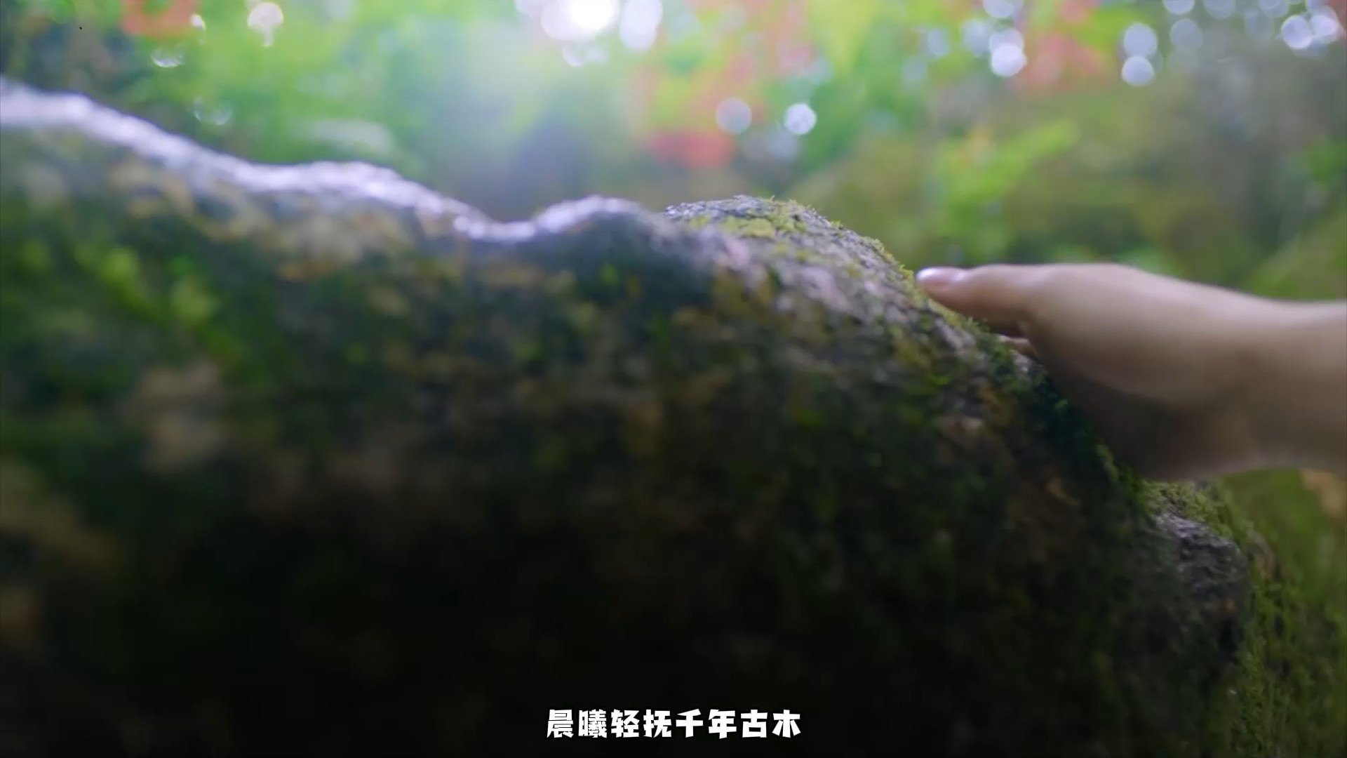 来炎陵县神农谷景区 与自然共呼吸