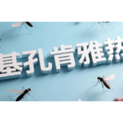 如果计划去广东佛山，株洲疾控中心教您如何防护基孔肯雅热