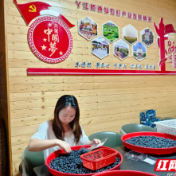 攸县丫江桥镇：“三精”工作法打通暖企惠企“最后一公里”