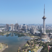 株洲市领导走访慰问专家、调研电瓷企业和重点项目