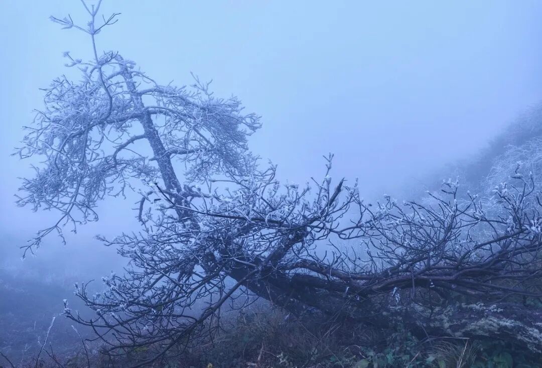 9f0c3fb7-d878-4d3a-97b4-b933db57412e (1).jpg