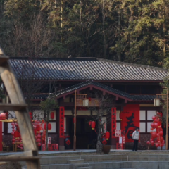 攸县酒仙湖新春上演“捕鸭大战”,游客争当“首席捕鸭官”