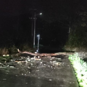 荷塘区龙洲村:连夜冒雨除险情,守护清晨“畅行路”