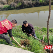 攸县丫江桥镇：江畔添新绿，干群共绘生态画卷