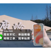 视频丨第一视角带你解锁荷塘区仙庾岭踏春游玩路线