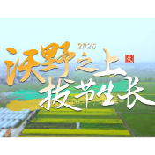 攸县：沃土之上拔节生长