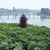 株洲市召开“开局八好”行动推进会