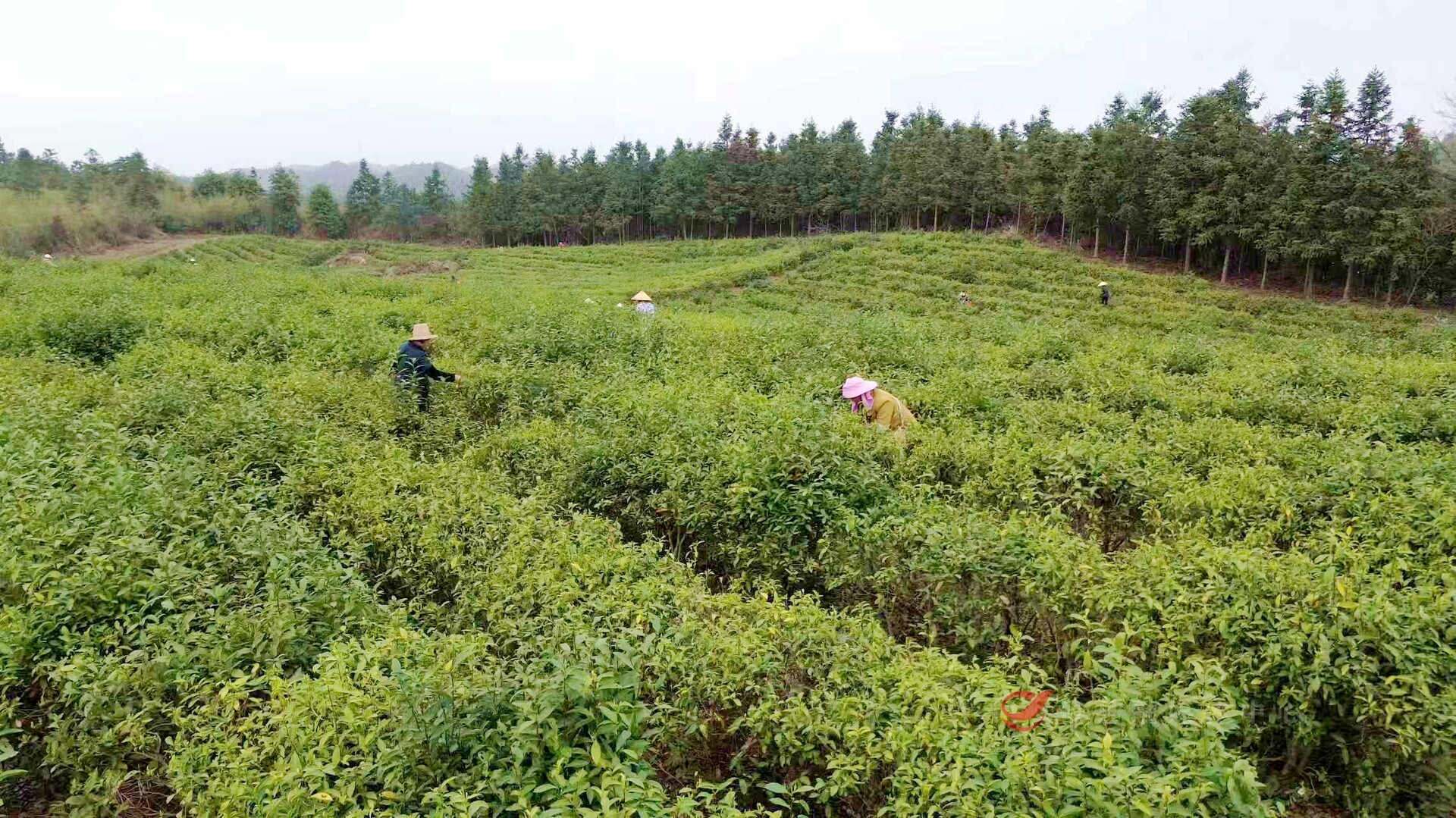 e22aadaf47c0f9dd039d05c86abd94d91a174a651773737473553.jpg e22aadaf47c0f9dd039d05c86abd94d91a174a651773737473553.jpg