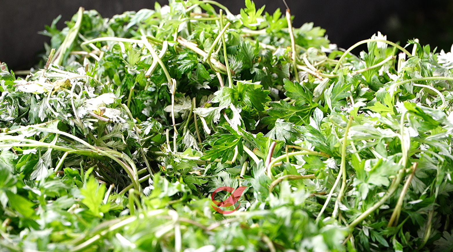 ada3491388e51000120cbab1bfa58302f8ef2fa91773826340258.png ada3491388e51000120cbab1bfa58302f8ef2fa91773826340258.png