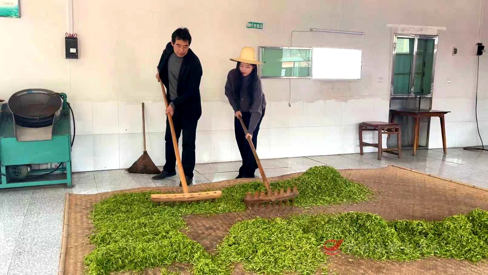 b4c003a5cb1159e5092a6ac3ed2cf2f5eef655841773737443224.jpg b4c003a5cb1159e5092a6ac3ed2cf2f5eef655841773737443224.jpg