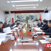 中国人寿与醴陵市人民政府开展交流座谈