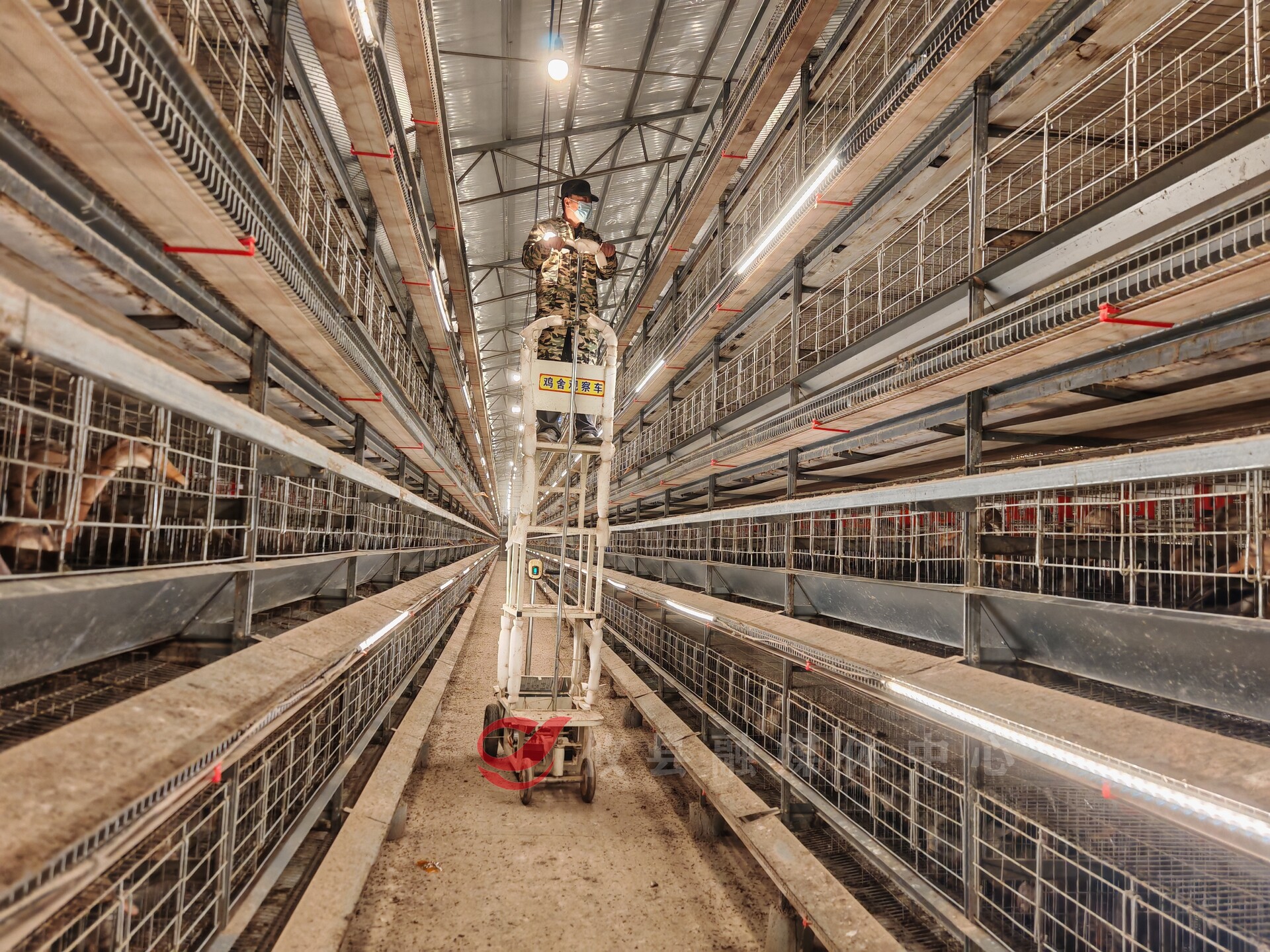 208e70973b8f031e4af56f4a466ad62d2b8d740f1773993963234.jpeg 208e70973b8f031e4af56f4a466ad62d2b8d740f1773993963234.jpeg