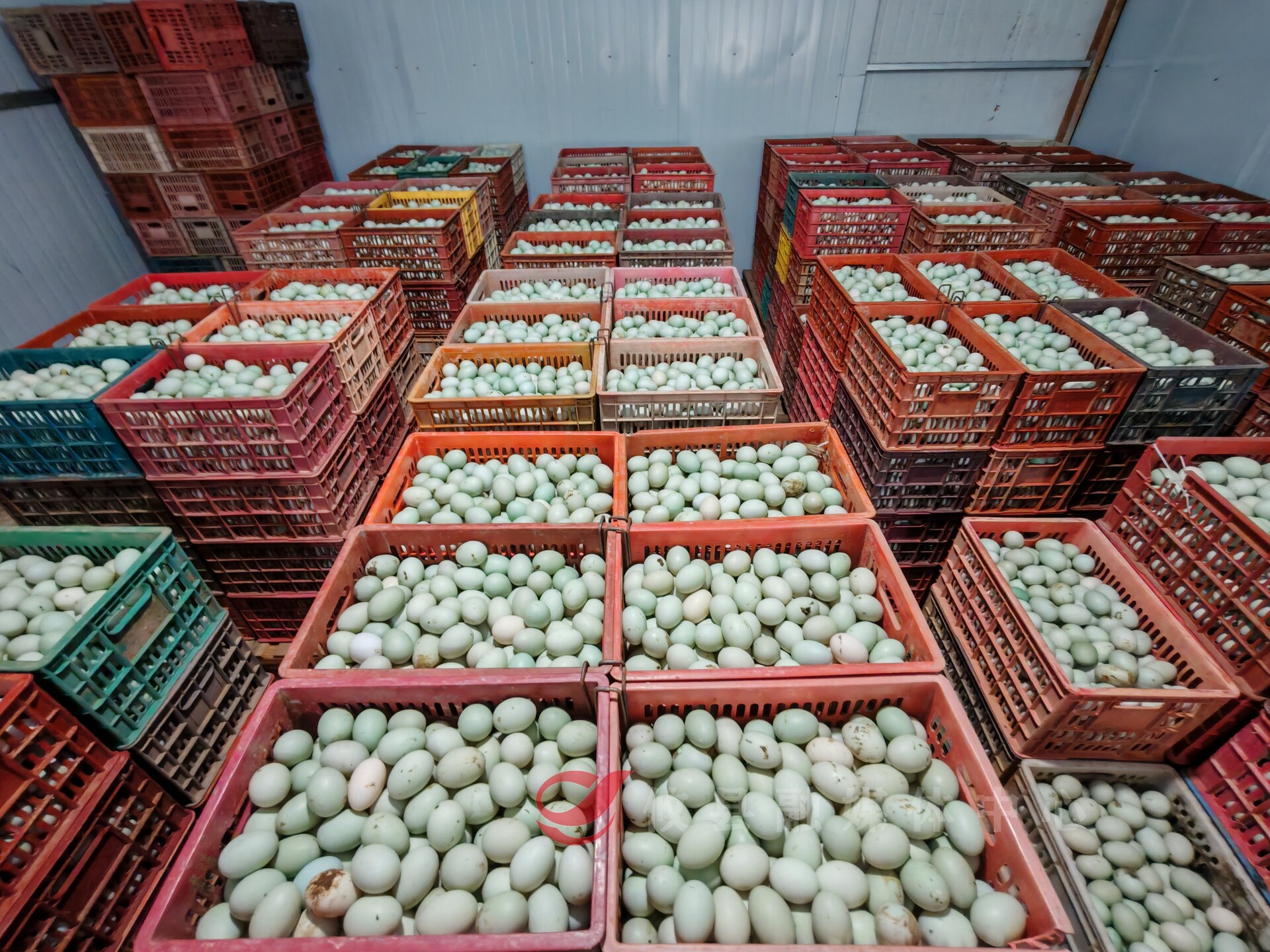 ab7df221a802abee7f92a205ba0fcfdaa0c63c4b1773994001394.jpg ab7df221a802abee7f92a205ba0fcfdaa0c63c4b1773994001394.jpg