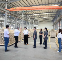 观潮的螃蟹丨在株洲，“破产”不等于“清算”