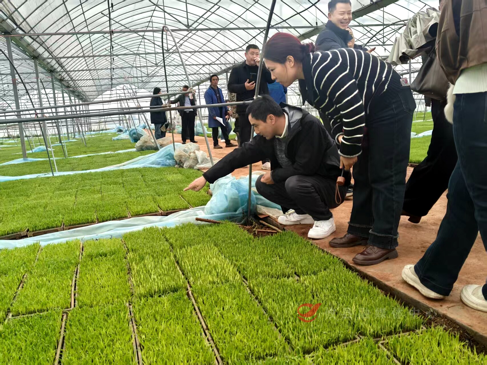 f5b3fe055bba25af6414d12a357b1a476c49bad51774400201643 (1).jpg