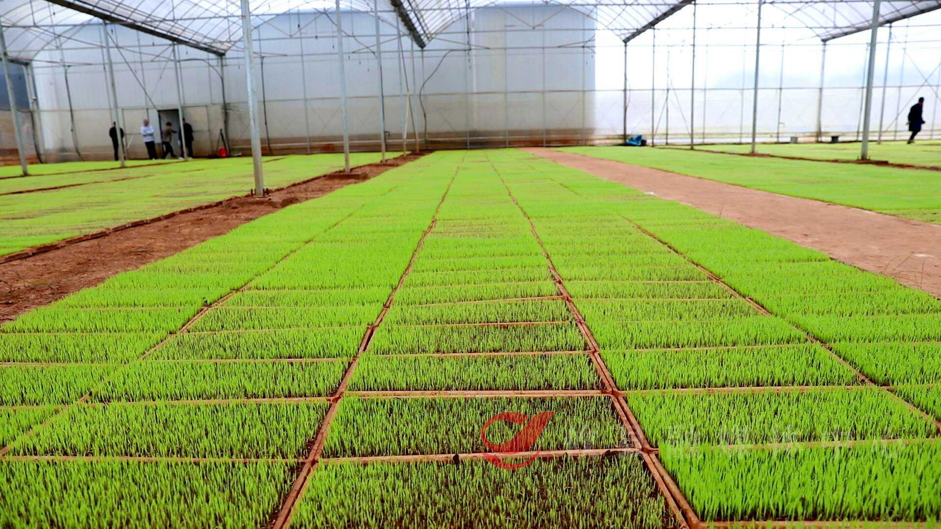 ba9ff98060dc684122e08ff0507c80c4787927d81774603210197.jpeg ba9ff98060dc684122e08ff0507c80c4787927d81774603210197.jpeg