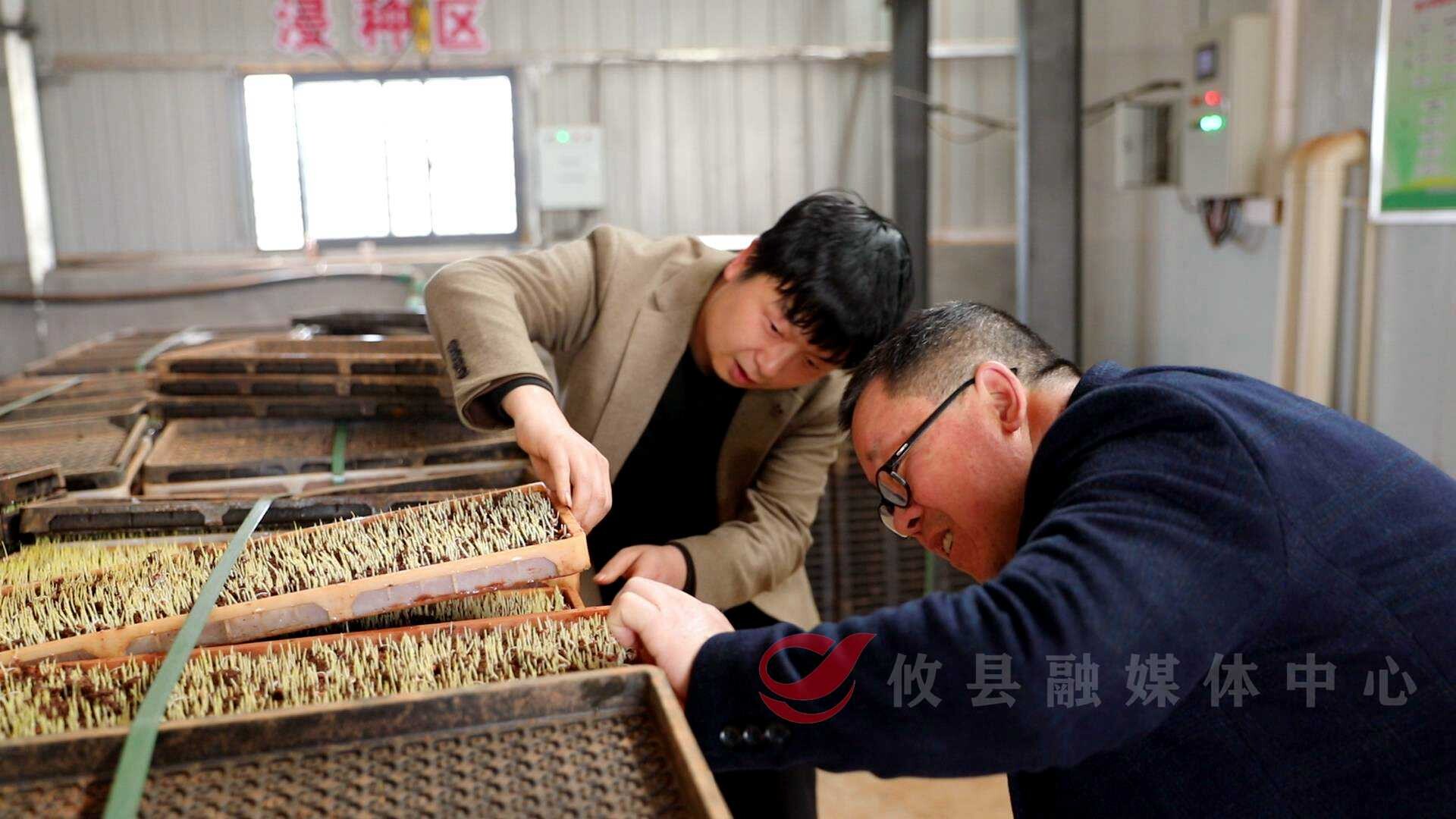 1f54abd9cd7e0e7d24fecee9a3ca950ef531efb31774603245439.jpeg 1f54abd9cd7e0e7d24fecee9a3ca950ef531efb31774603245439.jpeg