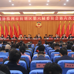 政协株洲市荷塘区第六届委员会第六次会议闭幕