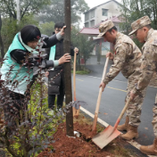 荷塘区人武部组织基干民兵开展植树护绿与环境整治行动