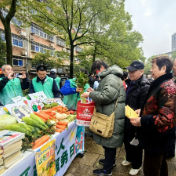 荷塘区石子头社区开展雷锋公益月邻里共融活动