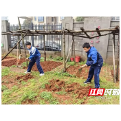 天元区隆兴中学开展校园劳动实践课
