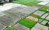 攸县：激活春灌全域水网，让好水“存得住 放得出”