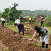 荷塘区宋家桥街道：沃野育初苗，青锋暖龙洲