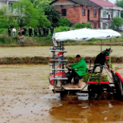 应对阴雨天气，攸县这场观摩会为早稻机插开出“良方”