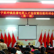 攸县宁家坪镇：以“播”为媒，激活乡村振兴“一池春水”