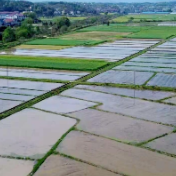 攸县丫江桥镇千亩良田翻耕忙，绘就春耕“丰”景图