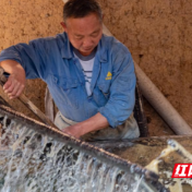 攸县莲塘坳镇：莲塘拾韵兴村富民，三色交融赋能振兴