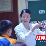 湖师大教授为新马小学课程建设“把脉”