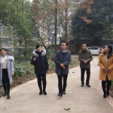 芦淞区教育局局长邓礼辉调研莲塘小学