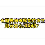 视频|鼻病毒聚集性发生？别慌！听听专家怎么说