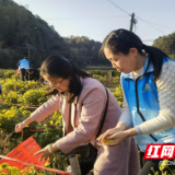 我为群众办实事丨株洲高新区中青班学员开展助农帮困志愿服务